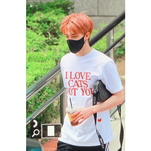 JAEMIN TSHIRT I LOVE CATS NOT YOU OFFICIAL DP/fullpay