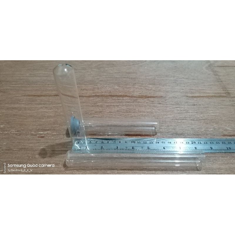 Vas Bunga Tabung Kaca | Pot Tanaman Hidroponik