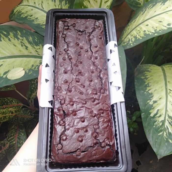 ES823 Brownies panggang fudgy ala mildashoppe