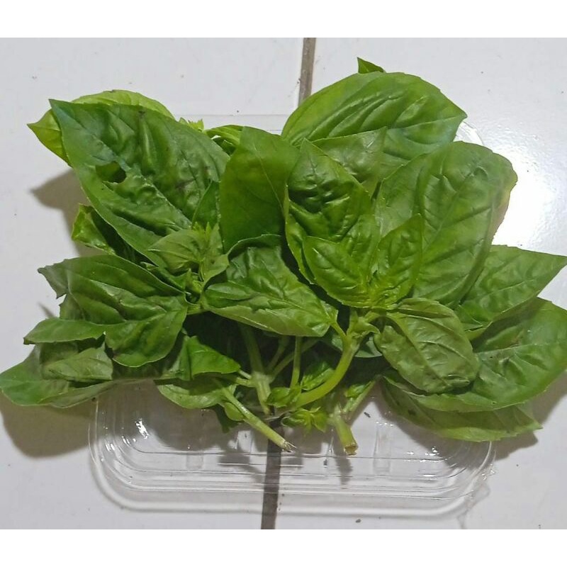 

Basil 500 gram