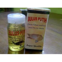 MINYAK BULUS PUTIH ORIGINAL