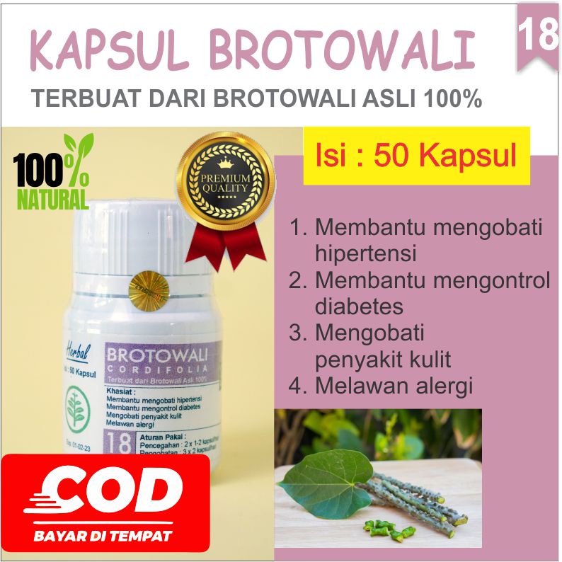 

Obat Herbal Brotowali Kapsul Hipertensi Diabetes Penyakit Kulit Alergi