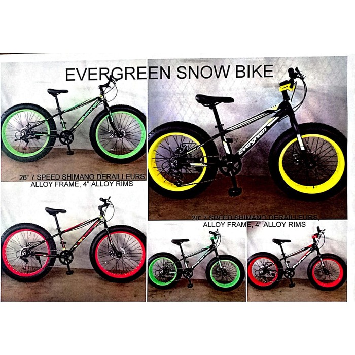 evergreen fatbike