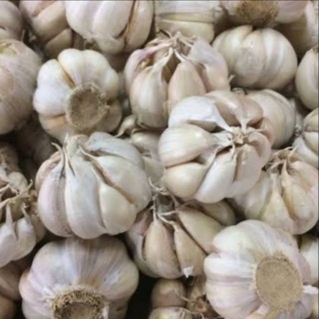 

Bawang putih 500 gram
