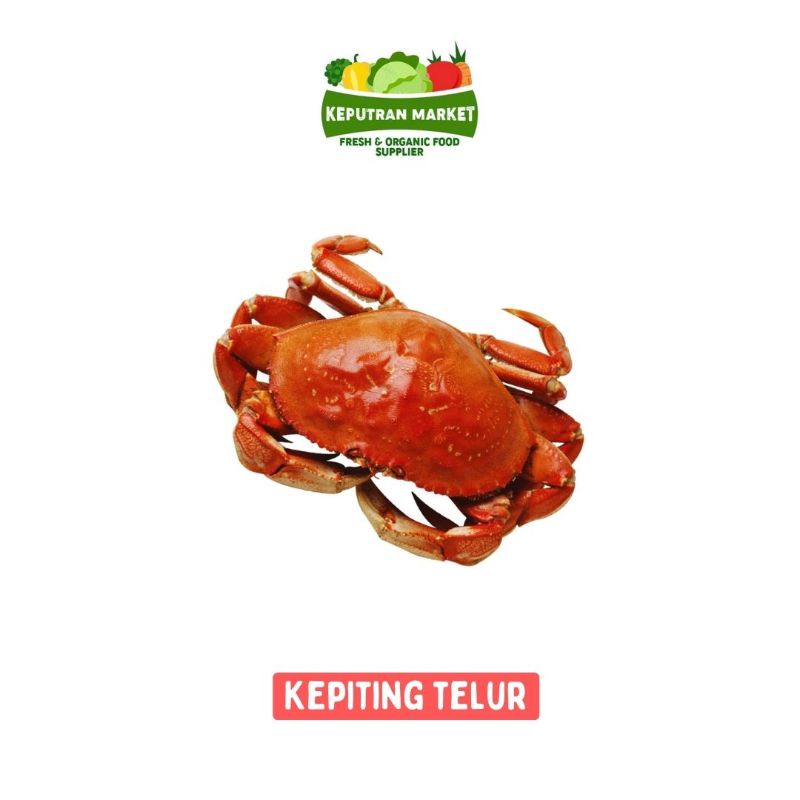 

Kepiting Telur Per Kg / Ikan Segar