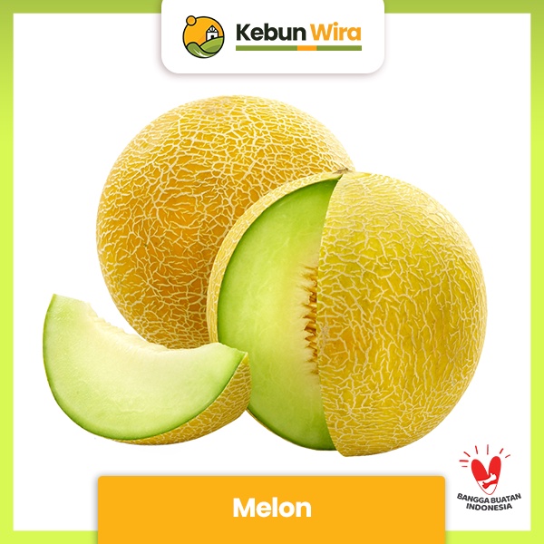 

Melon | Honeydew Melon
