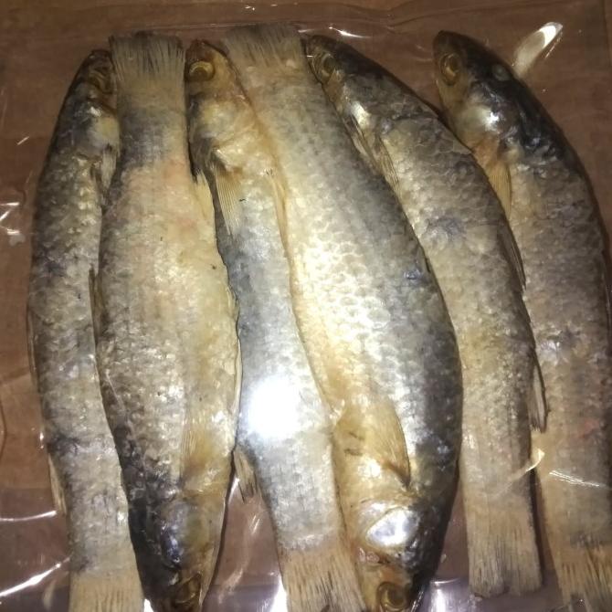 

$$$$] ikan asin belanak