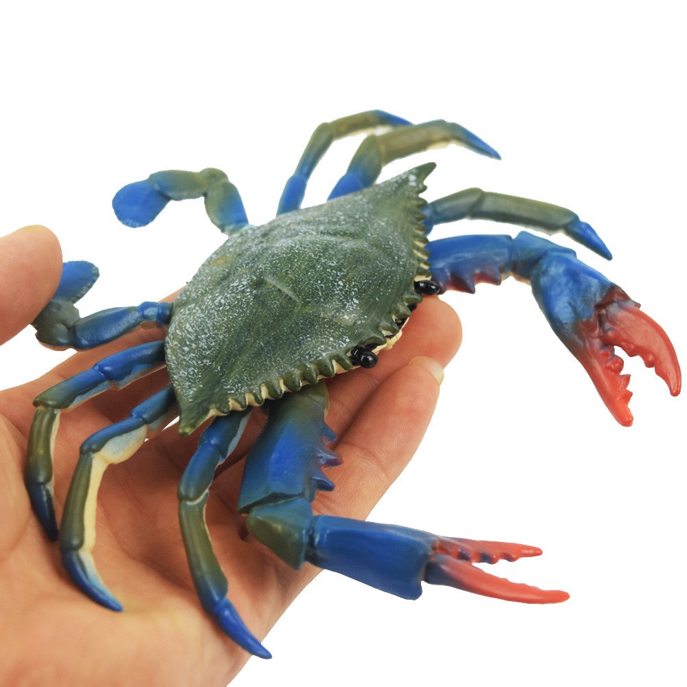 Housweety Mainan Mandi Bentuk Kepiting Kartun Untuk Anak Shopee Indonesia Housweety Mainan Mandi Bentuk Kepiting Kartun Untuk Anak Shopee Indonesia