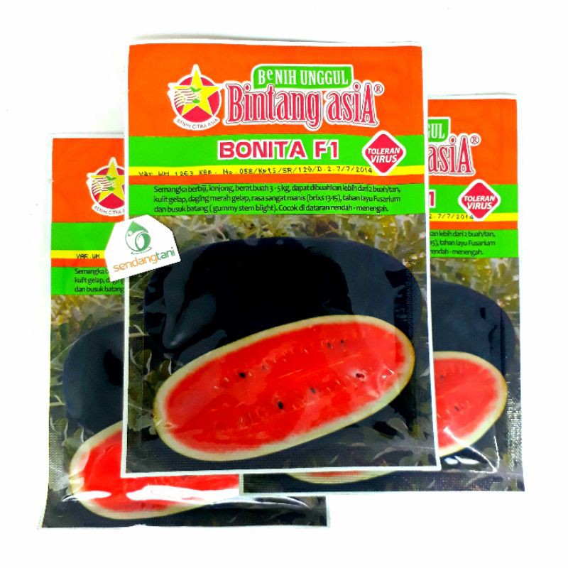 BONITA Benih Bibit Semangka Lonjong Inul Merah Bintang Asia