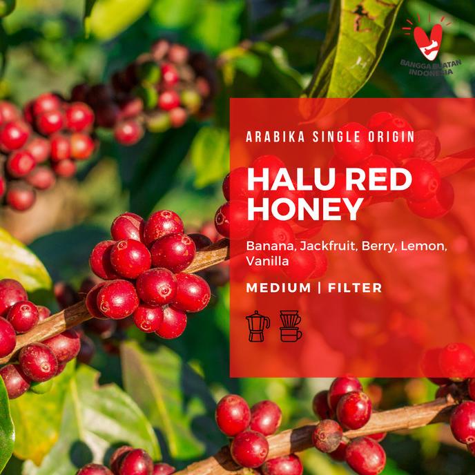 

Arabika Gunung Halu biji kopi 1 Kg - Roast Bean Coffee