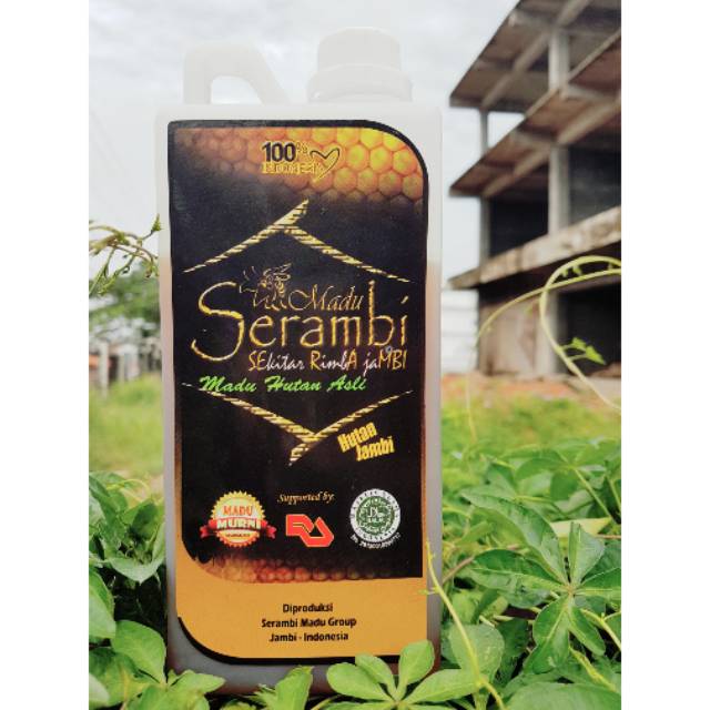 

madu hutan jambi