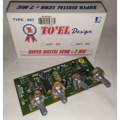 Kit echo toel plus 2 mic