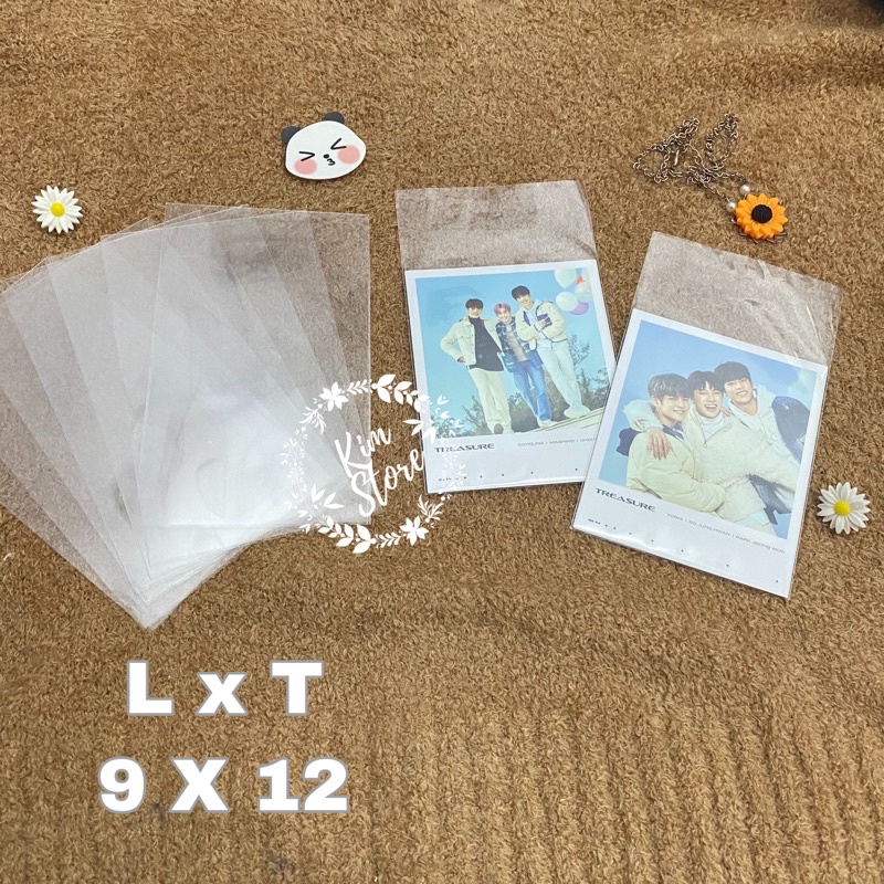 INNER SLEEVE POLAROID TREASURE