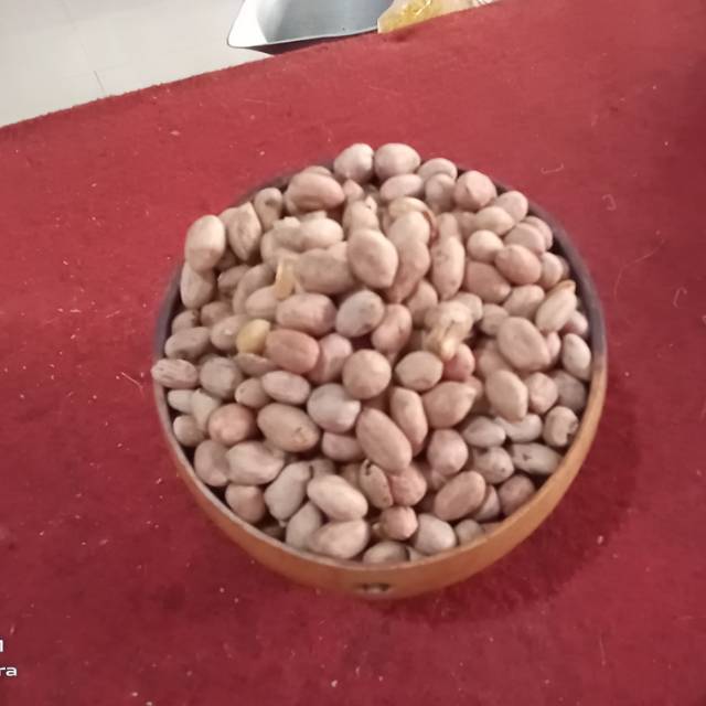 

Kacang Bogares Kacang Asin Kiloan 250-1kg