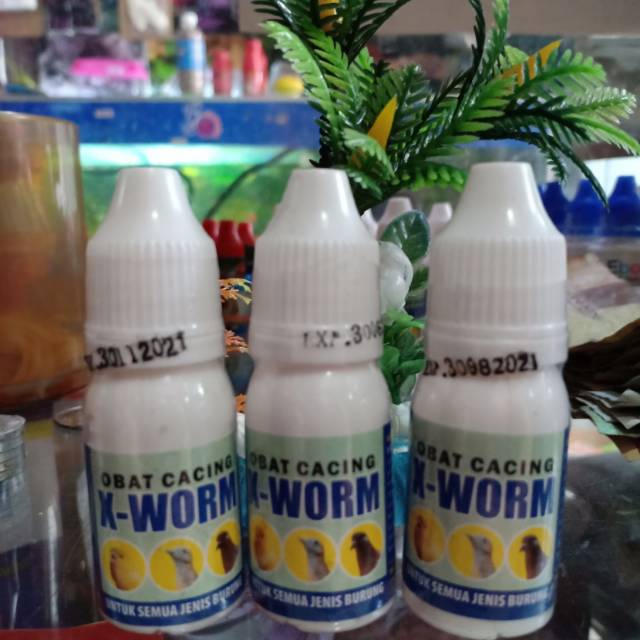 OBAT CACING BURUNG X-WORM