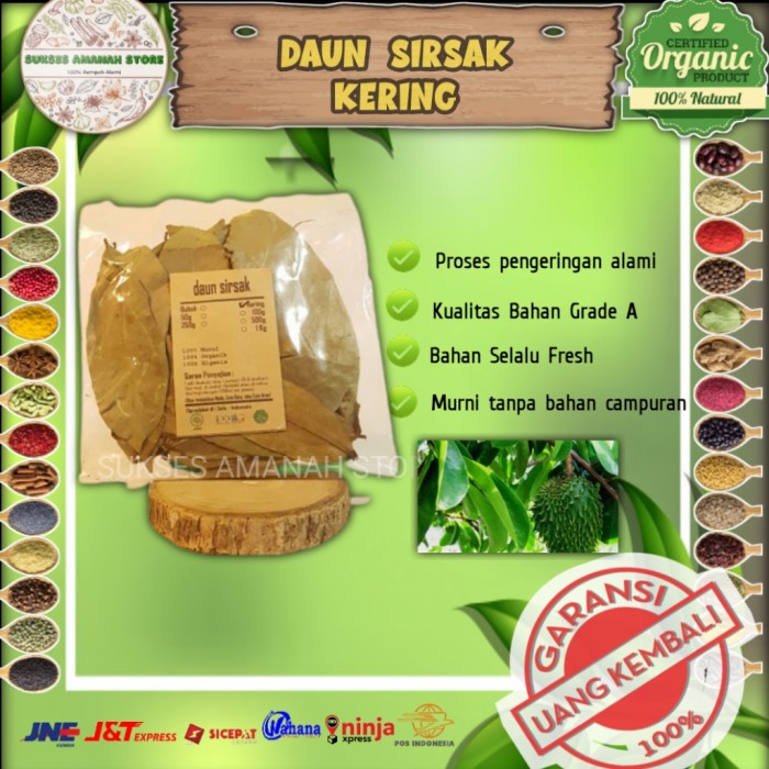 

Daun Sirsak Kering 1 KG Obat Herbal Rempah Alami Annona Muricata