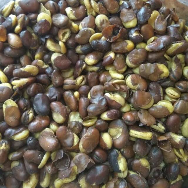 

KACANG KORO KULIT