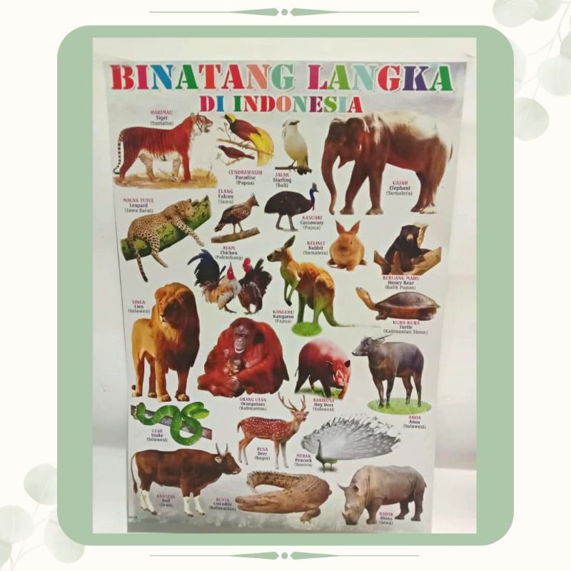 TM | POSTER EDUKASI BINATANG LANGKA INDONESIA | POSTER HEWAN LANGKA | 100% ORIGINAL [ BISA COD ]