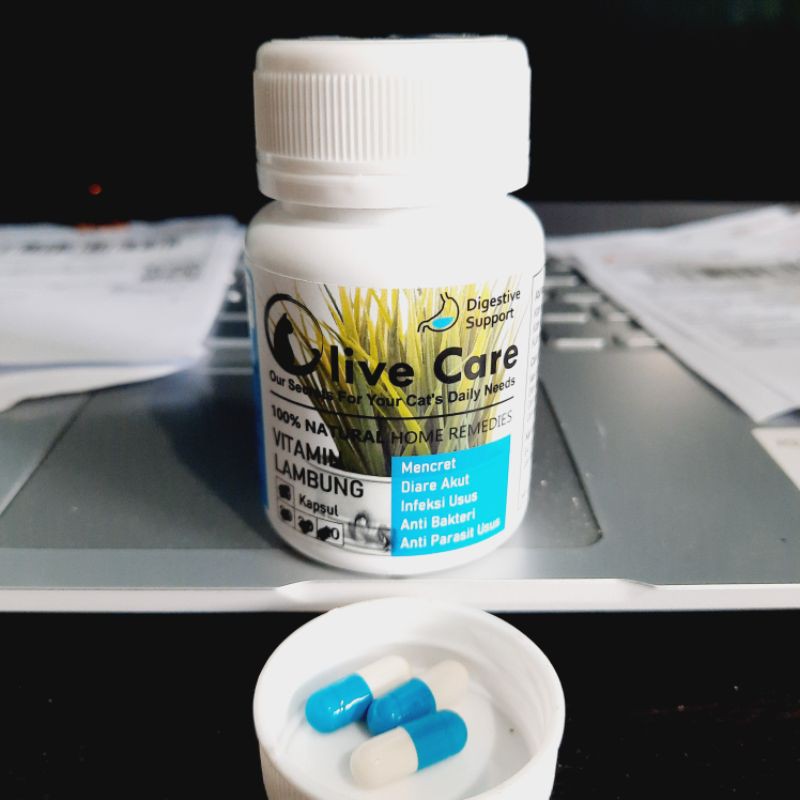 OLIVE CARE LAMBUNG DIARE MENCRET AKUT (ECER 1capsul)