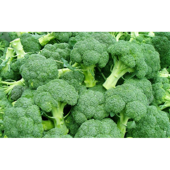 Benih Bibit Biji - Brokoli Hijau Green Super Broccoli F1 Hibrida Seeds - Panen Dalam 60 Hari