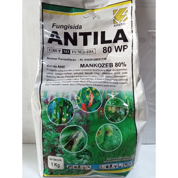 Antila 80 WP Fungisida