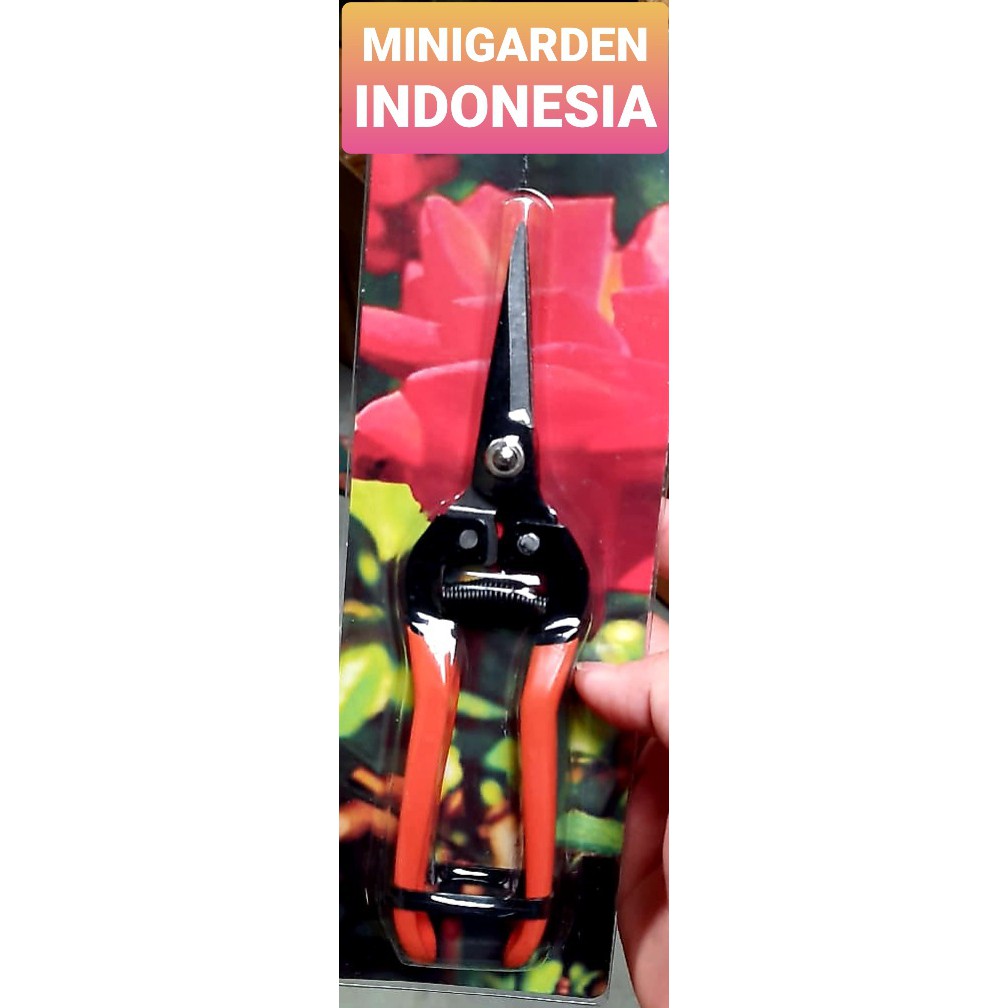 GUNTING Prunning 190 mm P014 gunting pruning RANTING tanaman bonsai