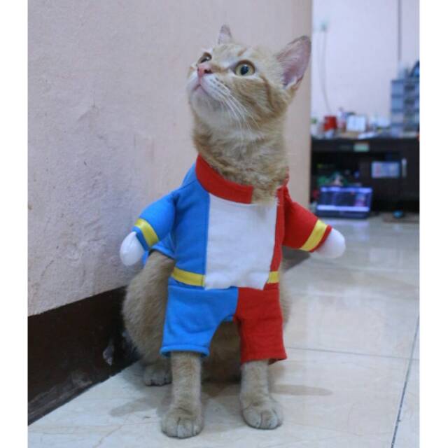 Kostum harley quinn lucu untuk kucing atau anjing / baju kucing murah size S M L XL