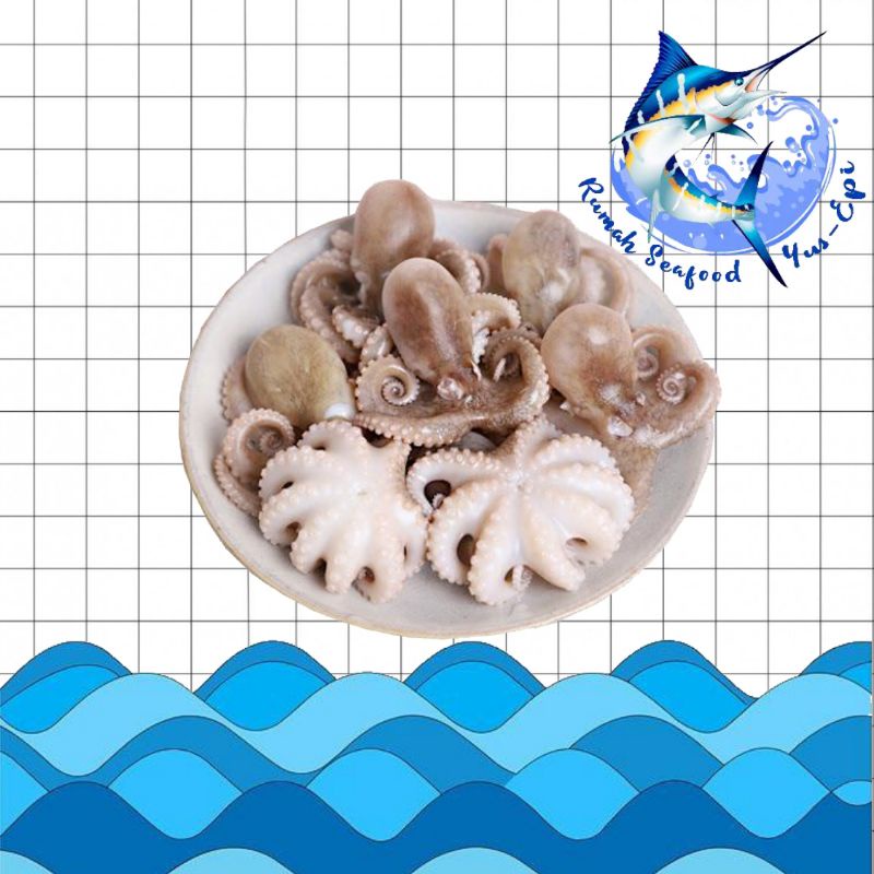 

Baby Gurita - rumahseafoodyusepi