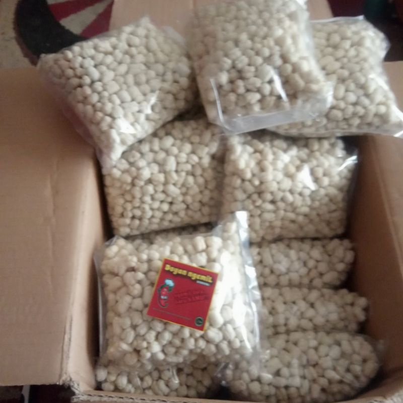 

pilus cikur / pilus tik tuk / pilus klethuk 100gr / 250gr