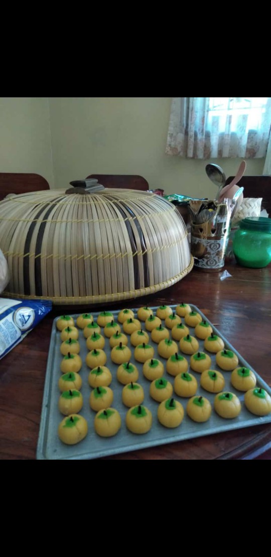 Tutup Nasi Tudung Saji Tedung Saji Food Cover Bambu Cendani Wulung Penutup Makanan Anti Lalat