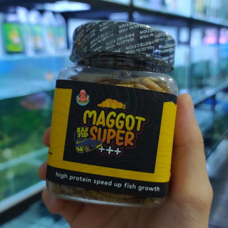 MAGGOT SUPER +++ 30GRAM - BANG FISH X FAJAR ARIEF EXTRA BETACAROTENE PAKAN IKAN CHANNA MAKANAN PELLE