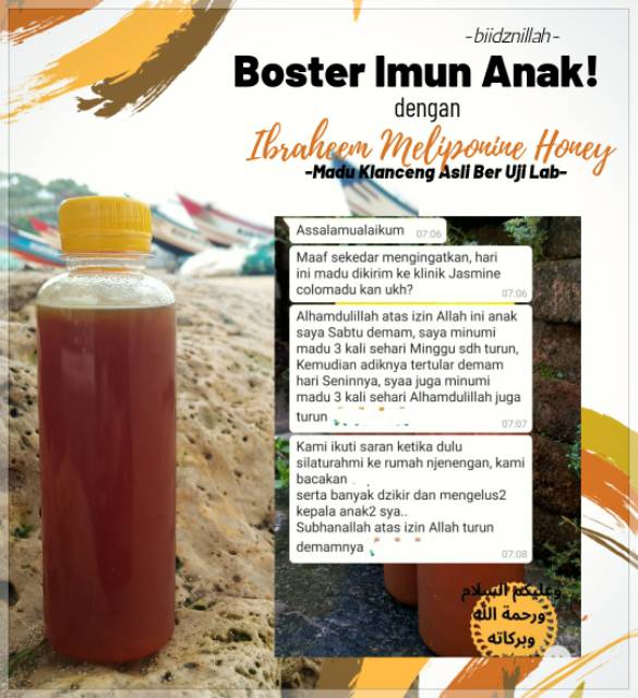 Madu klanceng/madu trigona 100% murni