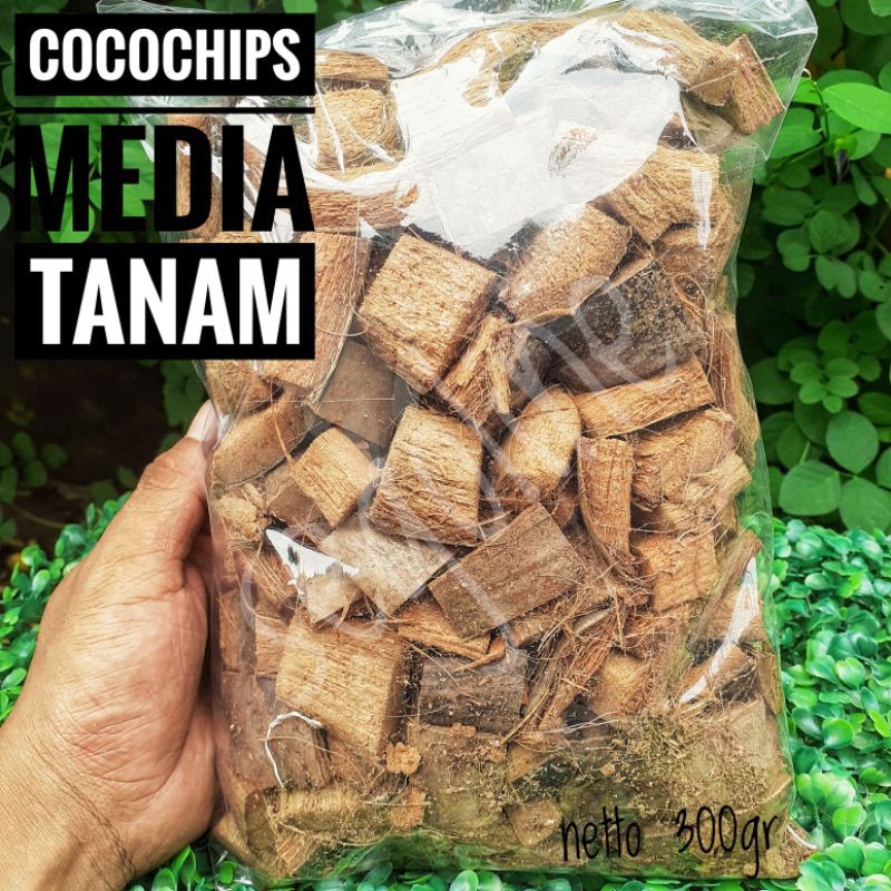 COCO CHIP|COCOCHIP|COCOCHIPS|COCOCHIP SABUT KELAPA|MEDIA TANAM ANGGREK|MEDIA TANAM|ALAS REPTIL