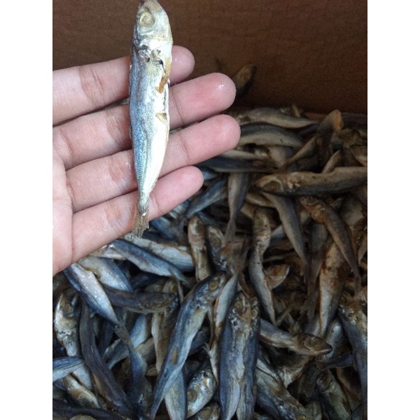 

ikan asin peda kecil (ecer)