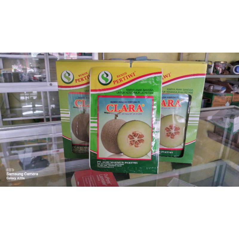 BENIH MELON CLARA PERTIWI