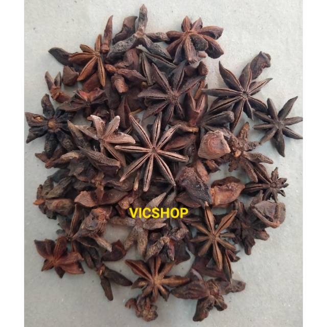 Jual Pekak Bunga Lawang Star Anise Rempah 50gr Shopee Indonesia