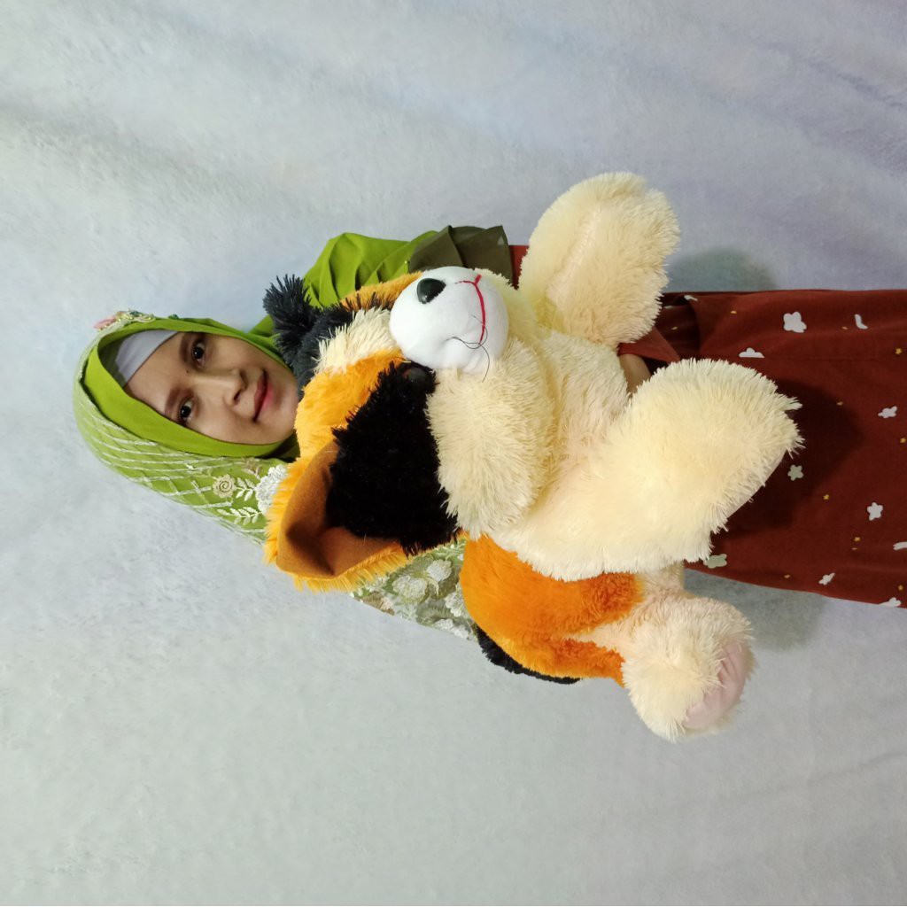 BONEKA Kucing belang XL MURAH