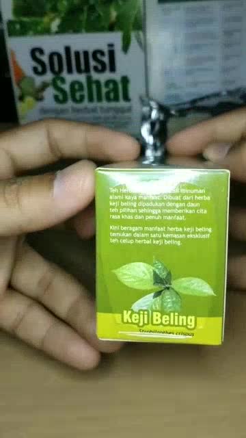 Teh Celup Daun Keji Beling Minuman Kesehatan Batu Ginjal