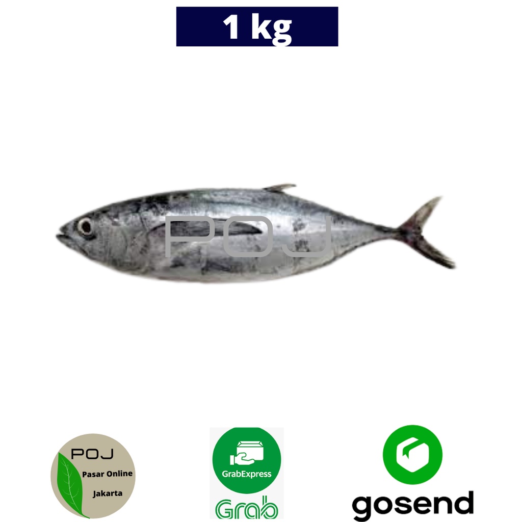 Ikan Tongkol Segar 1 kg ✓Ikan Tongkol Segar✓Ikan Tongkol Grosir✓Ikan Tongkol Murah✓POJ