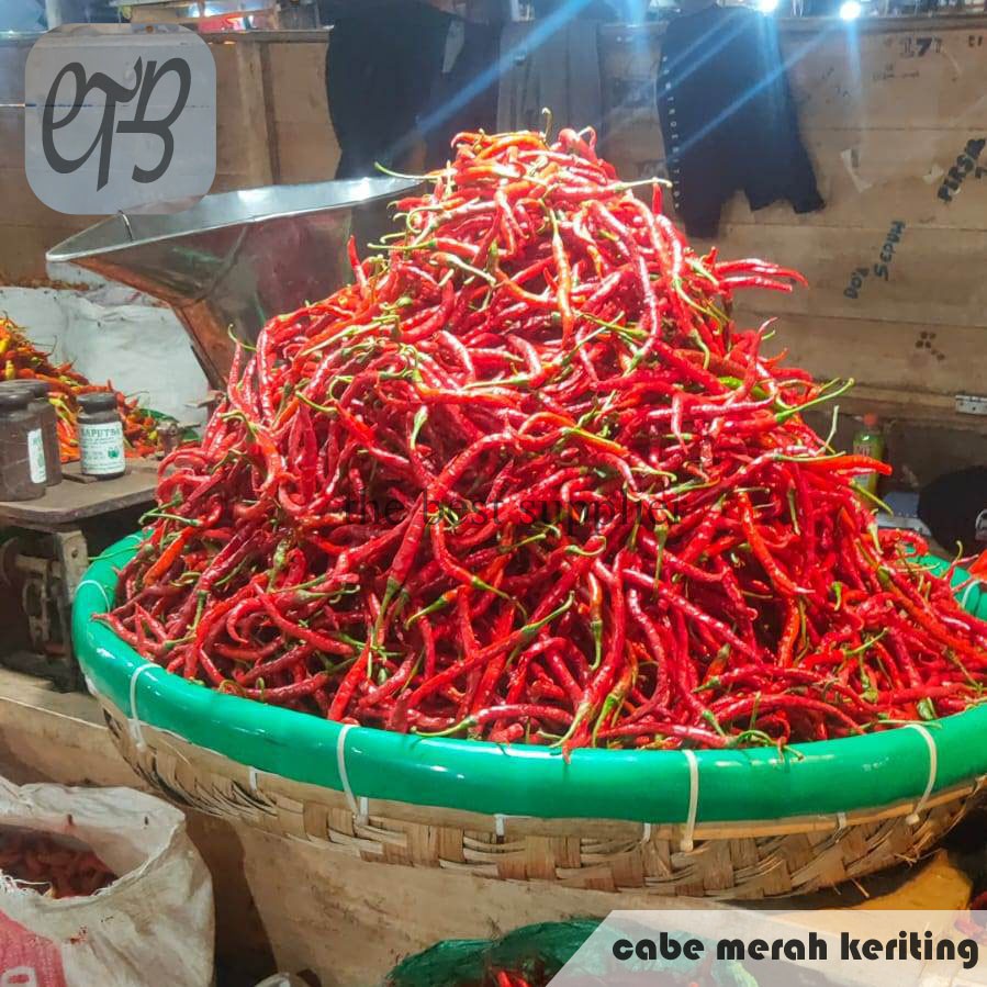

Cabe Merah Keriting Segar