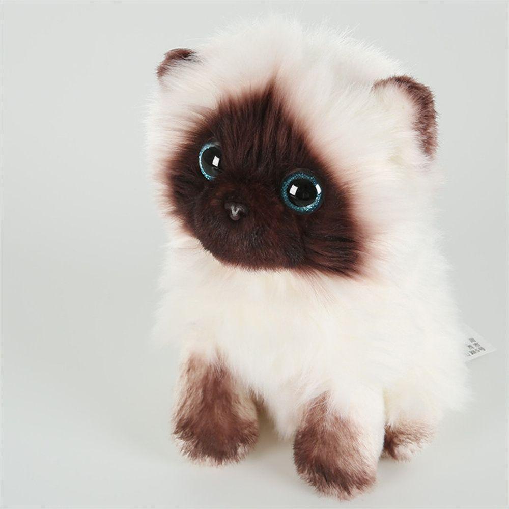 Quinton Cat Plush Toy Mainan Anak Dekorasi Rumah 20/26CM Sequin Mata Coklat Dan Putih Kucing Siam Boneka Binatang