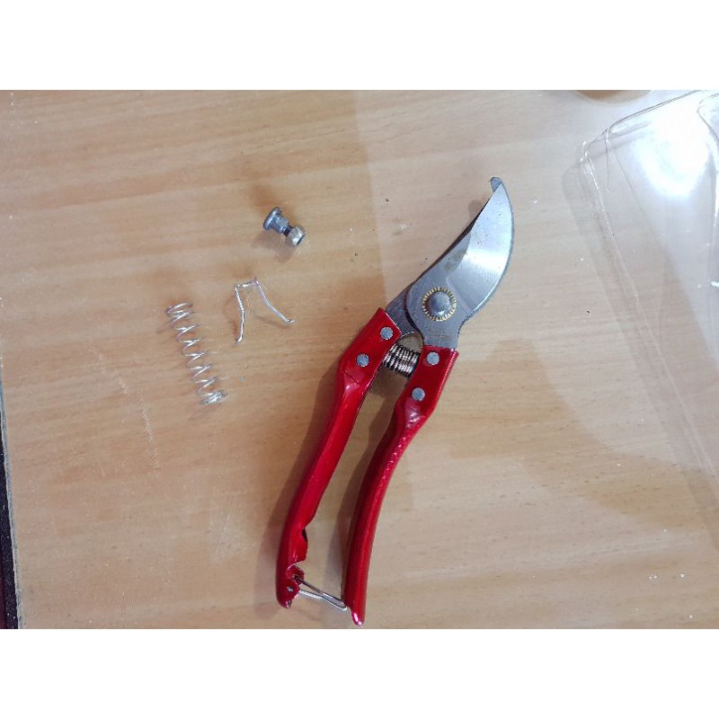 Gunting Dahan Ranting Stek Tanaman Bunga gagang Besi Soligen mdl Stainless , gunting dahan ranting