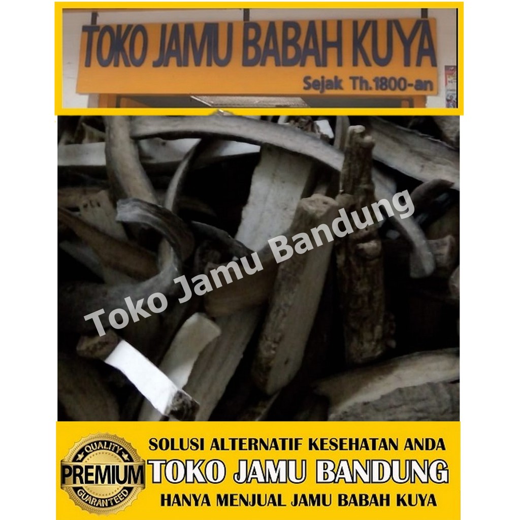 

Ginseng Kering Premium Original Jamu Babah Kuya