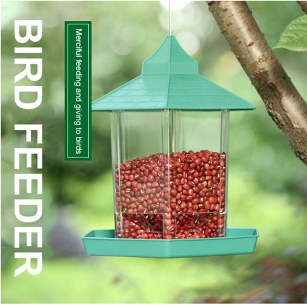 Tempat Makan Minum Burung Liar