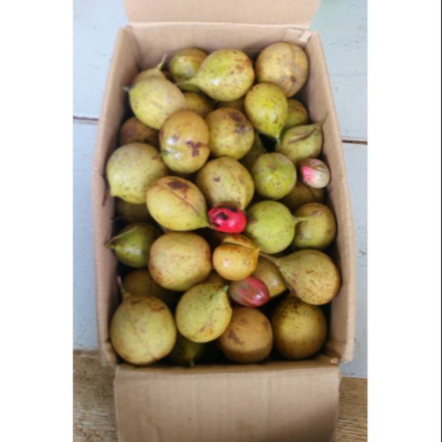 

Buah pala segar 3kg