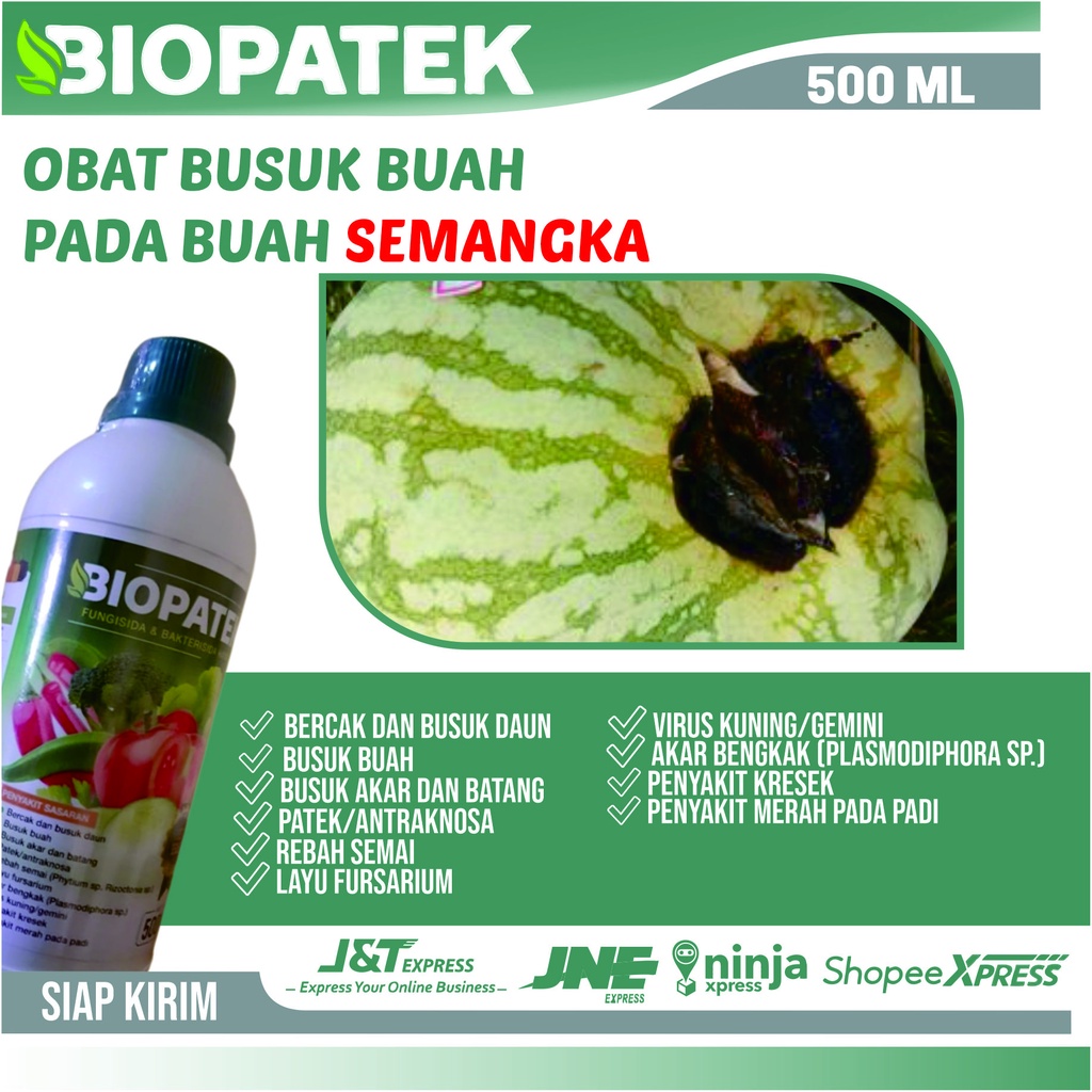 Obat Busuk Buah Semangka Paling Ampuh - Biopatek Bakterisida & Fungisida Hayati Obat Anti Patek Ampu