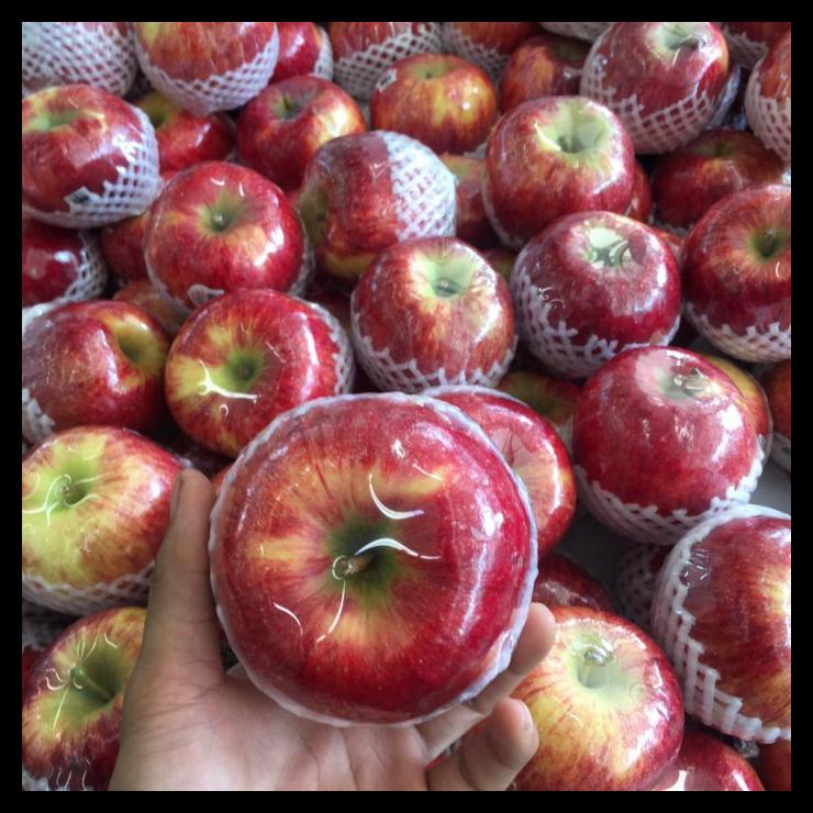 

Buah Apel Envy Usa Jumbo 500 Gr.