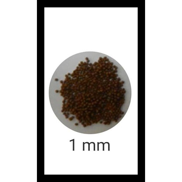 

Pakan Lele 781-1 Terlaris