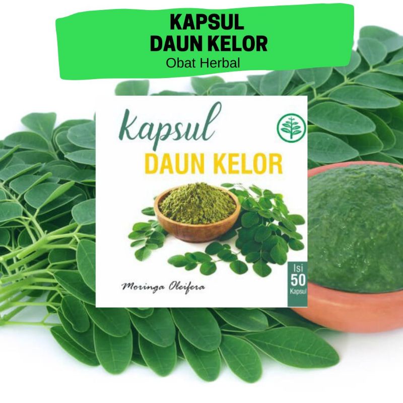 kapsul herbal daun kelor , jamu tradisional herbal daun kelor herbal