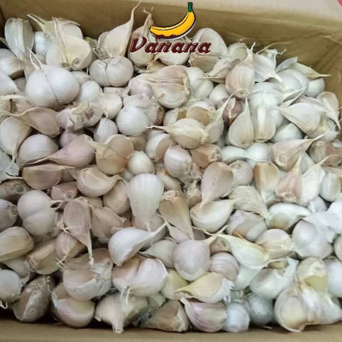 

VANANA Bawang Putih Kating 1/2kg(500g)